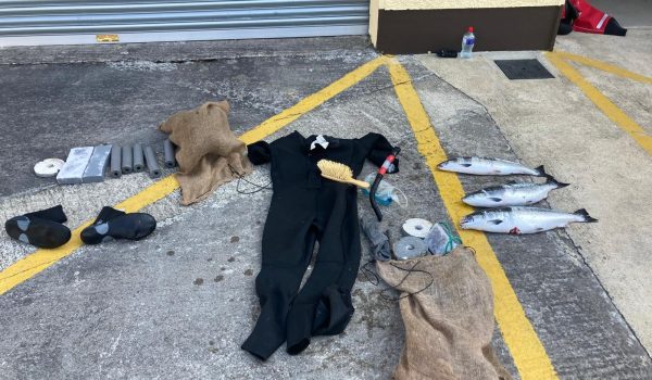 Seized wetsuit, snorkel and three salmon