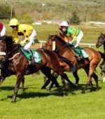Sligo Races