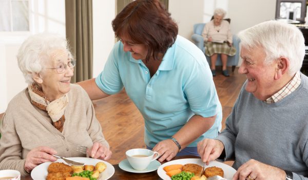 Senior Couple Being Served Meal By Carer