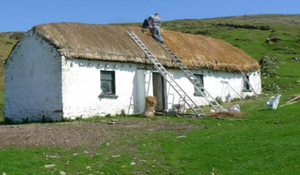 Thatch Repair