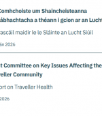 Traveller Health Report