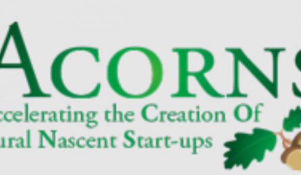 acorns