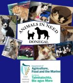 animals in need donegal