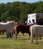 b25lY21zOmZjMmRiOTVkLTE0NzMtNGZjOS04ZmYwLWY0ZTkyZTVjMDY1MDoxZjA4YjgxNi04YzIzLTQ3NTEtYjBmOC02NTliZGE0MWY2ODc=