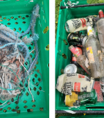 beach litter