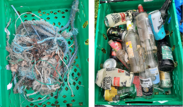 beach litter