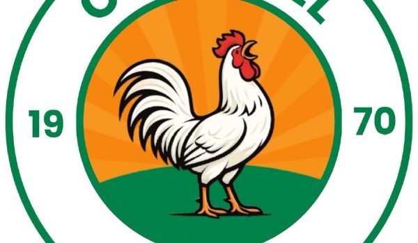 cockhill celtic 1