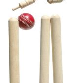 cricket-stumps
