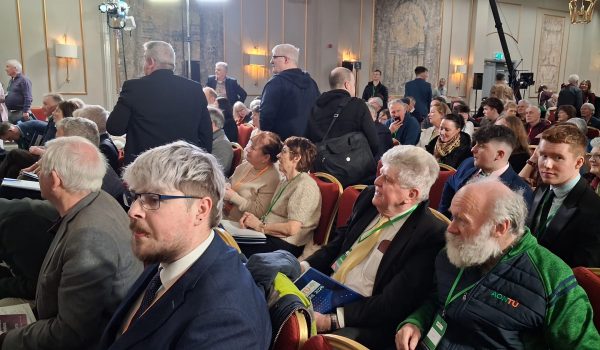 d37e2f19-df6a-467d-8307-d52750b07545