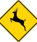 deer warning