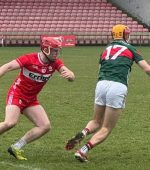 derry hurling