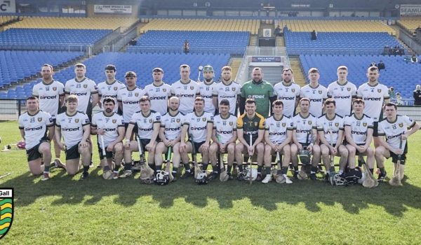 donegal hurlers