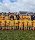 donegal minors