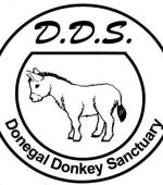 donkey sanctuary
