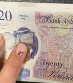 fraud notes