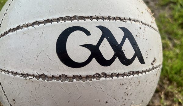 gaelic ball gaa ball 2
