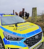 garda road policing unit