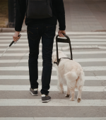 guide dog