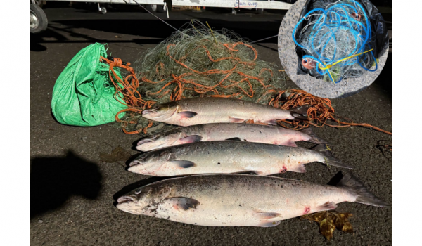 illegal fishing