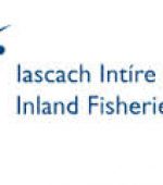 inland fisheries ireland