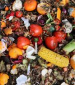 Discarded and spoiled food on a rubbish heap