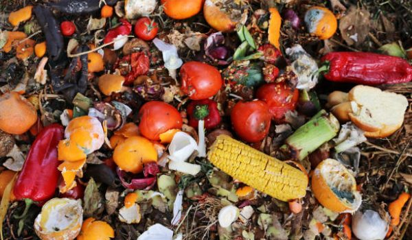 Discarded and spoiled food on a rubbish heap