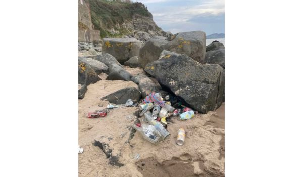 ladies bay rubbish
