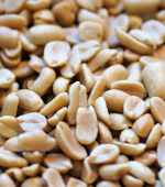 peanut allergy allergen