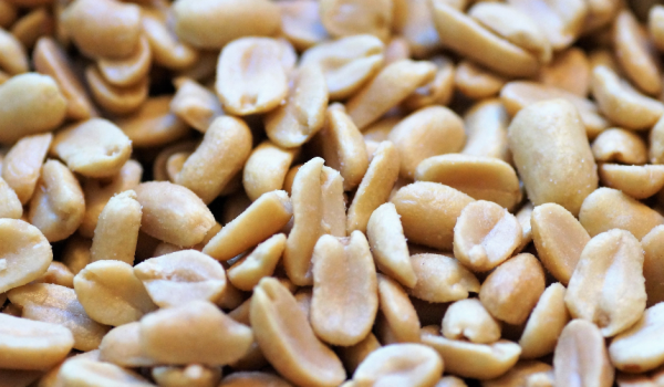 peanut allergy allergen