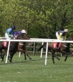 pony racing