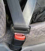 seatbelt large