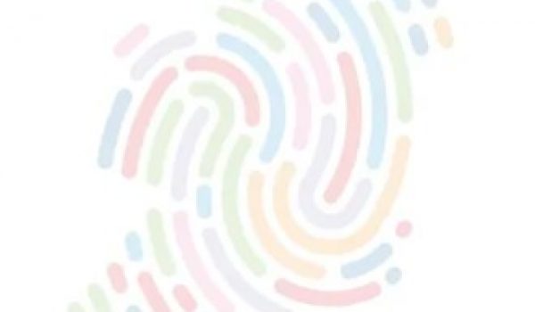 shared island initaive