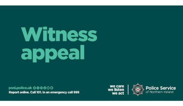 witness appeal